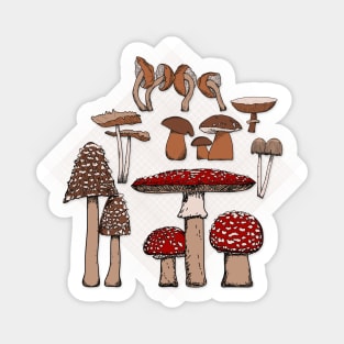 Mushroom Paradise Cream Background Sticker